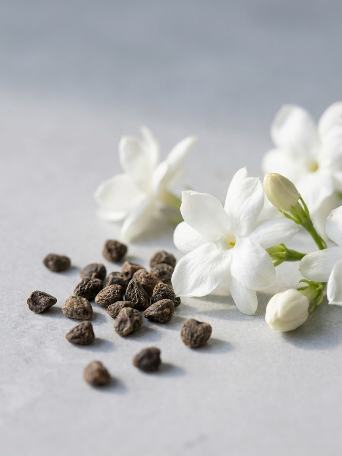 EXTRAIT DE PARFUM VS EAU DE PARFUM